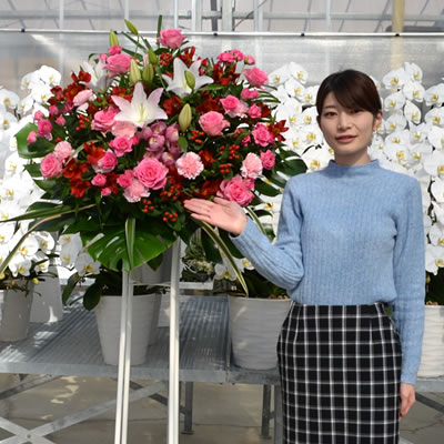 【スタンド花 1段】10,000円 送料無料 スタンド花 開店祝い 花 ギフトスタンド花 1段 花色おまかせ アレンジ花 高さ180cm位 東京都 神奈川県 大阪府 札幌市 名古屋市 あす楽【発表会 移転 開院 ライブ おしゃれ 屋外 室内】【st】【stde】