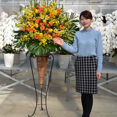 おしゃれな花 【ポイント3倍】【スタンド花 コーン】15,000円 送料無料 スタンド花 開店祝い 花 ギフト 花色 選べる5色 高さ180cm位 東京都、神奈川県、大阪府、札幌市、名古屋市、福岡市【発表会 開店祝い 移転 開院 お祝い ライブ フラワースタンド】【stde】