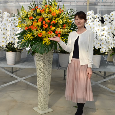 スタンド花 開店祝い 花 スタンド花(アイアン) 花色は選べる5色 15,000円(税別) 高さ180cm位 あす楽 送料無料(一部除く)東京都、神奈川県(一部除く)、大阪府、札幌市、名古屋市、福岡市【お祝い スタンド花 開店 移転 開院 開業 公演 ライブ】【stde】