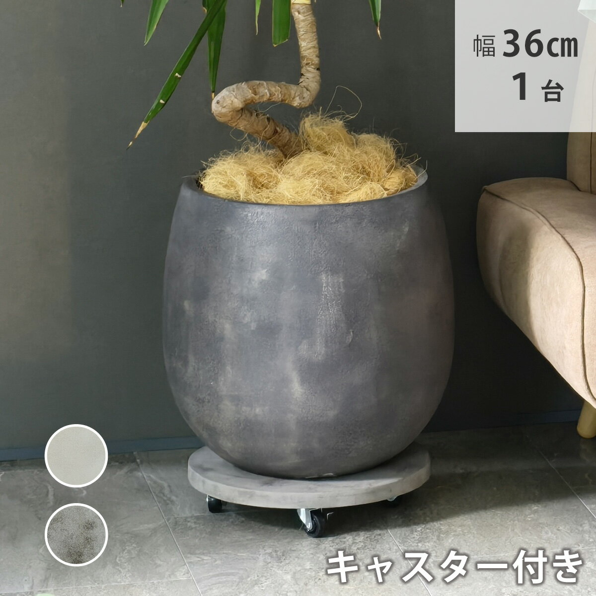 乐天商城 - セメント製キャスター付きプランターキャリー36cm TR360 直径36 スタンド フラワースタンド ベース キャスター 台車 鉢置き 花台 プランター おしゃれ インテリア 室内 ベランダ ガーデン