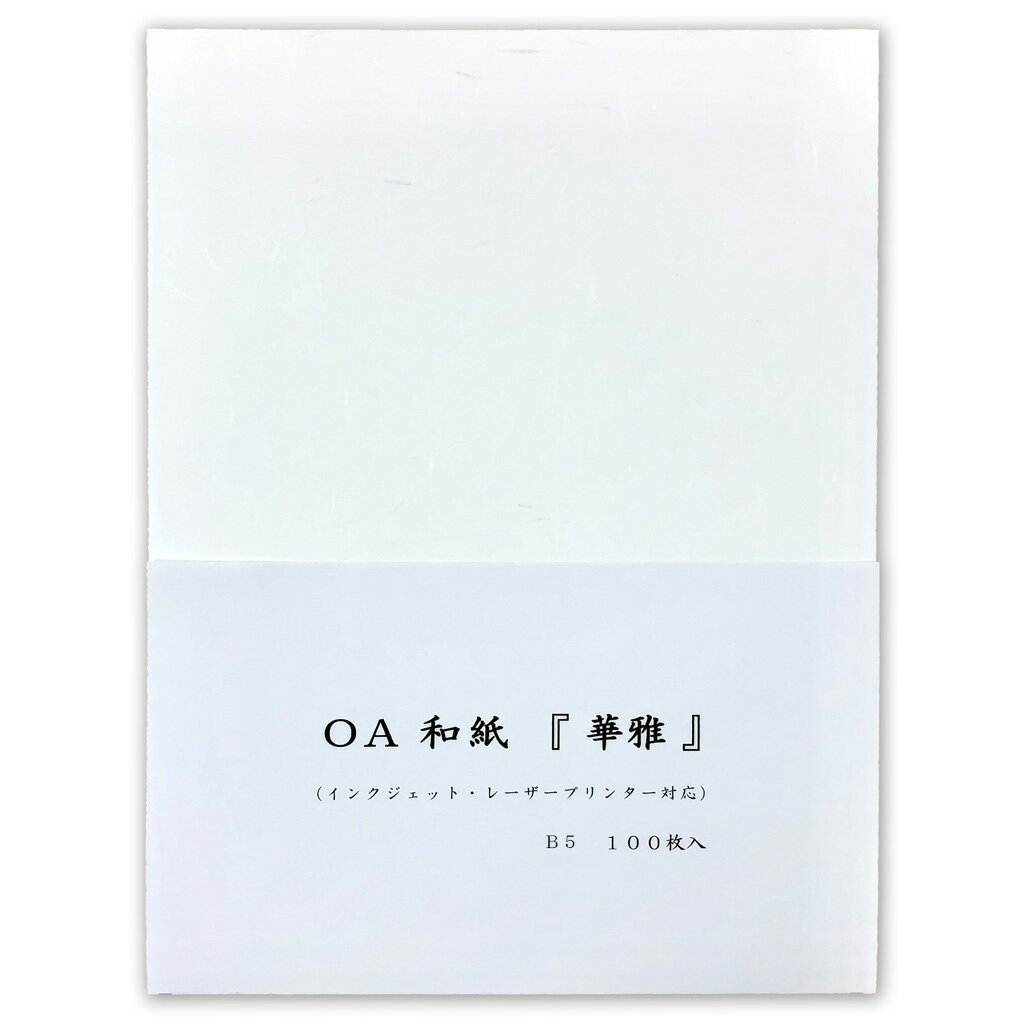 【あす楽】エレコム [エコノミー光沢紙][薄手タイプ][A4サイズ：100枚]エコノミー光沢紙