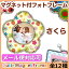 キューティマグネットフレーム さくら(CMF015)【赤ちゃん 記念 ベビーグッズ ベビー baby 育児 ギフト キッチンマグネット フォトフレーム 写真入れ メモクリップ マグネット小物 内祝い 出産祝 出産祝い お返し プチギフト お誕生日プレゼント パパジーノ】