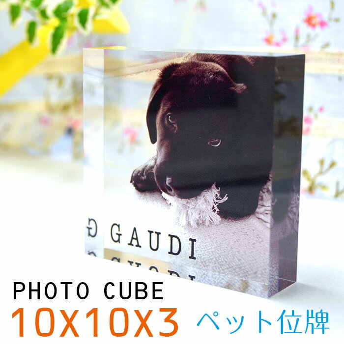 うちの子 グッズ ペット フォトキューブ 10×10×3センチ 父の日 孫 写真 入り プレゼント 犬 記念写真 猫 遺影 ペット 写真入り プレゼント フォトフレーム 写真立て 誕生日 父の日 敬老の日 お祝い 記念品