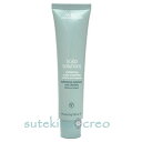 訳あり アヴェダ スカルプ ソリューション エクスフォリエイティング スカルプ トリートメント 150ml