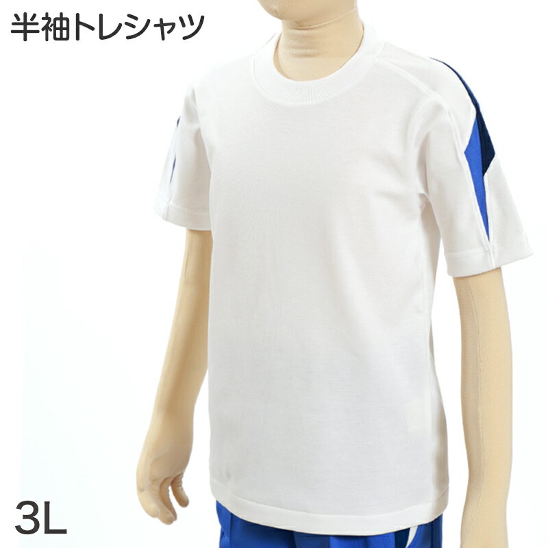 【6/25はエントリー+抽選で最大100％ポイントバック】ギャレックス 体操服 半袖トレシャツ 3L