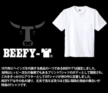 ヘインズ BEEFY-T ポケットTシャツ S〜XL (ビーフィー ポケット Tシャツ tシャツ メンズ トップス シャツ インナー 丸首 クルーネック 綿100 綿 Hanes)