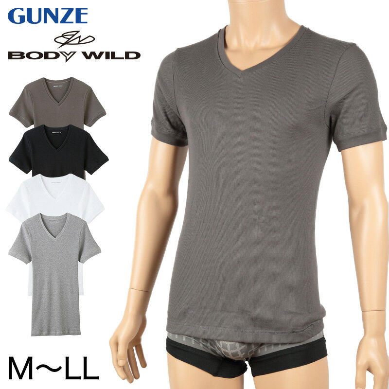 グンゼ BODY WILD Vネック リブ Tシャツ bodywild 綿100％ M〜LL (GUNZE ボディーワイルド メンズ 男性 下着 肌着 ドライ tシャツ インナー 半袖 吸収速乾 M L LL)