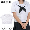 セーラー服 半袖 夏用 女子 制服 白 グレー2本ライン 150cmA～180cmA (夏服 学生服 中学校 中学生 Tiara) (送料無料)【取寄せ】