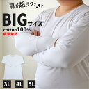 大きいサイズ 長袖 丸首 クルーネック メンズ 綿100 3L～5L (吸湿発熱 コットン ビッグ ロング 大寸 白t 大きめ でかい ぽっこり 肥満 マッチョ 筋肉 体型カバー 3L 4L 5L)