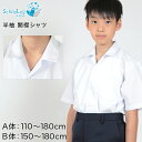 スクールシャツ 半袖 男子 開襟シャツ 学生服 小学生 110cmA～180cmB (制服 カッターシャツ ワイシャツ 中学生 高校生 半袖シャツ B体 ゆったり 110 120 130 140 150 160 170 180)【取寄せ】