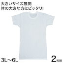 メンズ 半袖 tシャツ 大きいサイズ 