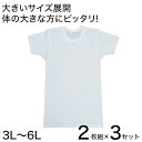 インナー メンズ 半袖 大きいサイズ 肌着 綿100% クルーネック 2枚組×3セット 3L~6L (下着 シャツ 男性 丸首 白 無地 tシャツ インナーウェア アンダーウェア 3l 4l 5l 6l)