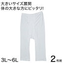 【6/5限定★抽選で最大300%ポイントバック 要エントリー】ステテコ メンズ 綿100% ズボン下 大きいサイズ 2枚組 3L〜6L (7分 股引 前あき ロ...