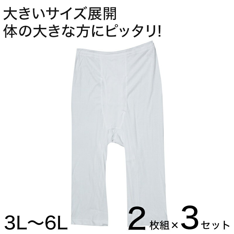 【5/25 土 エントリー＋複数購入でP10倍】メンズ ステテコ ロングパンツ ズボン下 大きいサイズ 2枚組 3セット 3L～6L 肌着 綿100% ボトム インナー 白 