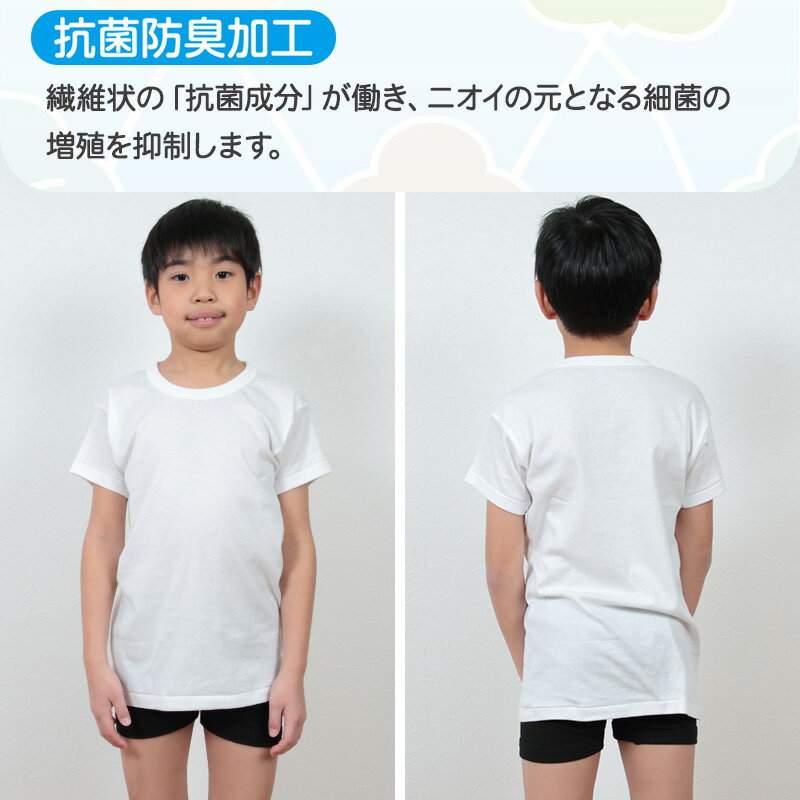 グンゼ 下着 男の子 半袖 綿 2枚組 100cm〜170cm (子供 肌着 綿100% キッズ インナー 小学生 シャツ 丸首 白 無地)