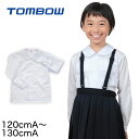 トンボ スクールブラウス 丸襟 小学生 ニットブラウス 長袖 120cmA・130cmA (スクールシャツ TOMBO トンボ学生服 女の子 女子 丸衿 丸エリ 学生 ベタ衿 120 130)【取寄せ】