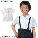 トンボ 小学生 丸襟 ニットブラウス 半袖 スクールブラウス 120cmA・130cmA (スクールシャツ TOMBO トンボ学生服 女の子 女子 丸衿 丸エリ 学生 ベタ衿 120 130)【取寄せ】