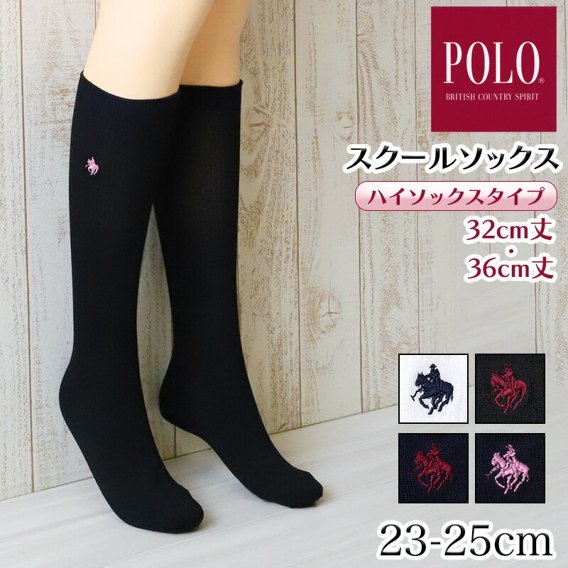 O[ POLO nC\bNX fB[X |Cg hJ XN[\bNX 23-25cm (GUNZE C    q Z w wZ w ʋ ʊw \bNX  |  q XN[)