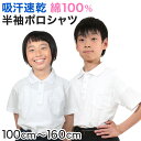キッズ ポロシャツ 半袖 綿100% 小学生 制服 小学校 スクール 子供 100cm~160cm 男の子 女の子 スクールシャツ 男子 女子 白 無地 学校 吸汗速乾