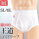 ブリーフ メンズ 綿100% 白 前開き BVD パンツ 大きいサイズ インナー 下着 はき込み深め 厚め ブランド GOLD スーツ カジュアル スポーツ トレーニング アウトドア 5L・6L (コットン 肌着 男性 紳士 ボトムス ホワイト 運動 5L 6L)