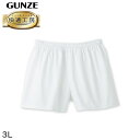 グンゼ 快適工房 紳士 パンツ(前とじ) 3L (メンズ GUNZE 綿100% コットン100 男性 下着 肌着 インナー やわらか 日本製 大きなサイズ)(4)