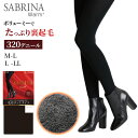 グンゼ SABRINA タイツ Warm+ ボアフリース調 毛布タッチタイツ M-L・L-LL (GUNZE サブリナ レディース 婦人 防寒 あったか 暖かい 冬 裏起毛)【在庫限り】