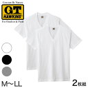 グンゼ G.T.HAWKINS 綿100 VネックTシャツ 2枚組 M～LL (GUNZE GTホーキンス メンズ 下着 Tシャツ tシャツ 半袖 男性 紳士 V首 肌着 インナー M L LL)