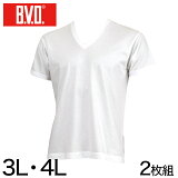 BVD メンズ 大きいサイズ 半袖Vネック シャツ 2枚組 3L・4L (インナー V首 下着 男性 紳士 白 ホワイト)【在庫限り】