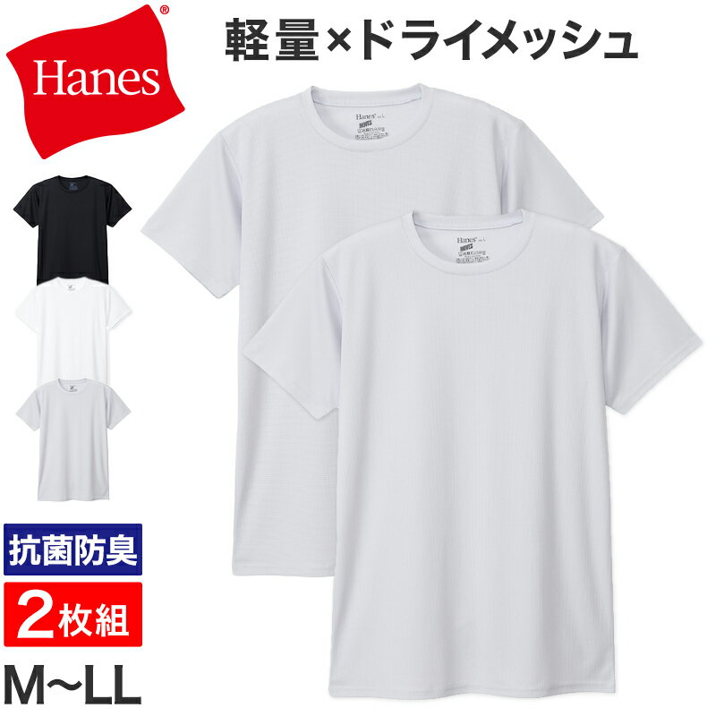 ヘインズ Tシャツ メンズ 2枚組 メッシュ 半袖 クルーネック 吸汗速乾 抗菌防臭 通気性 パックT ドライTシャツ インナー M〜LL カジュアルTシャツ スポーツ 快適 Hanes MOVES