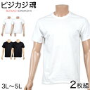 ヘインズ ビジカジ魂 tシャツ メンズ 半袖 綿100 大きいサイズ 2枚組 3L～5L (下着 綿 Tシャツ インナー クルーネック hanes セット 無地)【在庫限り】