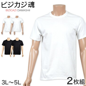 ヘインズ ビジカジ魂 tシャツ メンズ 半袖 綿100 大きいサイズ 2枚組 3L〜5L (下着 綿 Tシャツ インナー クルーネック hanes セット 無地)