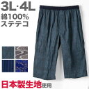 【要エントリー★10/25は抽選でポイントバック!】ステテコ メンズ 綿100% 大きいサイズ 3L 4L ひざ下 前あき パジャマ 夏用 ルームウェア イージーパンツ リラックスパンツ すててこ 夏 部屋着 ルームウェア パンツ シャレテコ 涼しい 父の日【在庫限り】