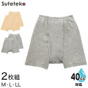 Suteteko 紳士 40cc対応 安心快適申又 前あき 2枚組 M~LL (中失禁 尿漏れ メンズ 失禁パンツ 吸水シート付き)【取寄せ】
