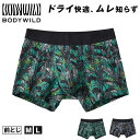 グンゼ ボディワイルド ボクサーパンツ メッシュ メンズ 前閉じ M L bodywild ボクサーブリーフ 夏 吸汗速乾 メッシュ 汗 ドライ パンツ ブリーフ ワイルド 派手 クール プリント