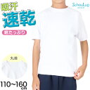 ★リニューアル★ 体操服 半袖 体操着 小学校 小学生 白 男子 女子 110〜160cm 半そで  ...