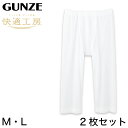 グンゼ 快適工房 紳士 涼風綿 ステテコ 2枚セット M・L (メンズ GUNZE 綿100% ズボン下 コットン 男性 下着 肌着 パンツ インナー 日本製 ...
