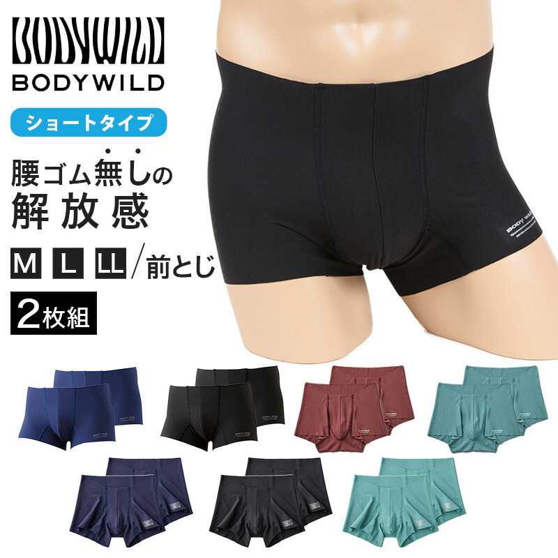 グンゼ ボディワイルド ボクサーパンツ メンズ AIRZ エアーズ 2枚セット M～LL (BODYWILD ボクサー ボクサーブリーフ パンツ 締め付けない ショートタイプ インナー 下着 肌着 男性 紳士 M L LL )