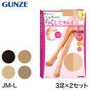 グンゼ 【3足組×2セット】Leg Beauty らくしてキレイ ゆったりサイズ ストッキング JMーL (GUNZE UV対策 保湿 伝線しにくい ノンラン 美脚)