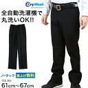 学生服 ズボン 洗濯機丸洗い ノータック 男子 ドライウォッシュ 61cm〜67cm 制服 学校 学生 スラックス 高校生 裾上げ無料 (送料無料)【取寄せ】