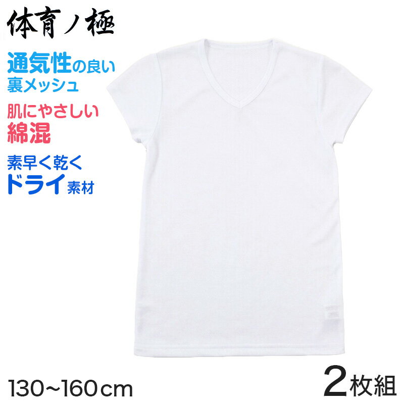 体育ノ極 下着 男の子 半袖 綿混 2枚組 130cm〜160cm (子供 肌着 キッズ インナー 小学生 Tシャツ Vネック 白 無地 メッシュ 体育の極 130 140 150 160)