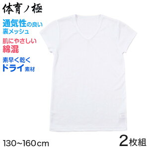 体育ノ極 下着 男の子 半袖 綿混 2枚組 130cm〜160cm (子供 肌着 キッズ インナー 小学生 Tシャツ Vネック 白 無地 メッシュ 体育の極 130 140 150 160)