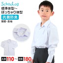 スクールシャツ 長袖 男子 開襟シャツ 110cmA～180cmB (B体 学生服 ワイシャツ 中学生 高校生 男の子 制服 シャツ 形態安定 ノーアイロン Yシャツ スクログ)