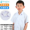 スクールシャツ 半袖 男子 開襟シャツ 110cmA～180cmB (B体 学生服 ワイシャツ 中学生 高校生 男の子 制服 シャツ 形態安定 ノーアイロン Yシャツ スクログ)