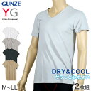 グンゼ YG DRY&COOL VネックTシャツ 2枚組 M～LL (GUNZE DRY&COOL Tシャツ 男性 紳士 インナーシャツ インナーウェアー 夏 吸汗速乾 ムレ緩和 抗菌防臭 消臭 M L LL)【在庫限り】