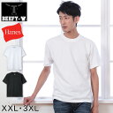 ヘインズ ビーフィー Tシャツ 大きいサイズ メンズ hanes beefy XXL 3XL Hanes 綿100 インナー 半袖 無地 肌着 下着 綿 コットン 男性 大寸 XXL 3XL