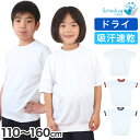 体操服 半袖 ドライ 体操着 小学生 110～160cm (白 小学校 女の子 男の子 速乾 子供 綿混 半そで キッズ 夏)