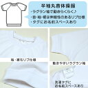 体操服 半袖 ドライ 体操着 小学生 110～160cm (白 小学校 女の子 男の子 速乾 子供 綿混 半そで キッズ 夏) 3