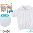 【12/5(火)エントリー＋複数購入でP10倍】体操服 半袖 ドライ 衿付き 体操着 小学生 110～160cm (襟付き 白 小学校 女の子 男の子 速乾 子供 綿混 半そで キッズ 夏)