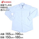 カンコー学生服 形態安定 男子 長袖カッターシャツ 165cmA～180cmB (長袖シャツ 形態安定シャツ スクールシャツ 男子 男の子 学生 カンコー kanko 大きいサイズ)【取寄せ】