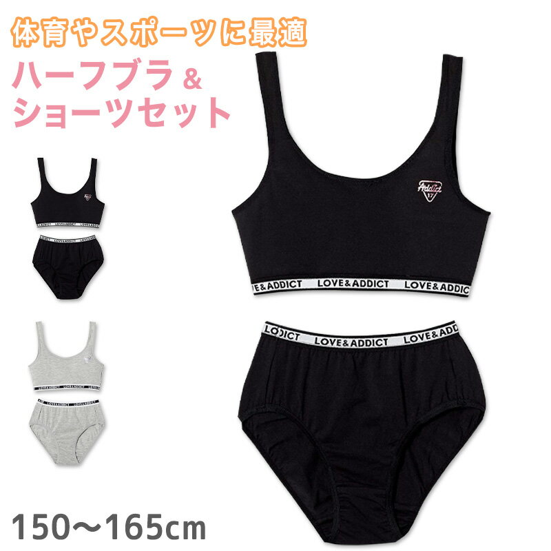 女児ハーフトップ＆ショーツセット 150～165cm (ジュニア 下着 小学生 女の子 キッズ インナー 中学生 女子 ブラジャー パッド付き 綿混 150 160 165 子供)